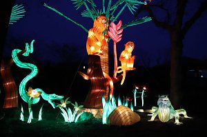 Lichtershow im Bergzoo Halle