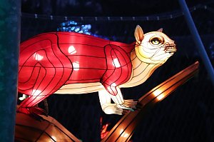 Lichtershow im Bergzoo Halle