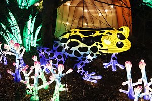 Lichtershow im Bergzoo Halle