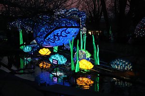 Lichtershow im Bergzoo Halle