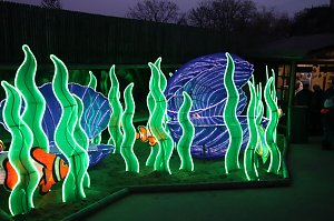 Lichtershow im Bergzoo Halle