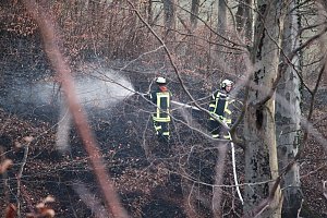 Fl&auml;chenbrand bei Gro&szlig;lohra