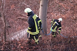Fl&auml;chenbrand bei Gro&szlig;lohra
