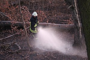 Fl&auml;chenbrand bei Gro&szlig;lohra