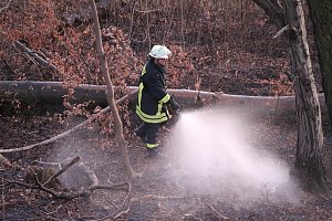 Fl&auml;chenbrand bei Gro&szlig;lohra