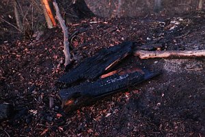 Fl&auml;chenbrand bei Gro&szlig;lohra