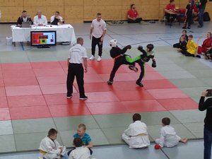 Nordh&auml;user Kampfk&uuml;nstler bei der Landesmeisterschaft in Bleicherode