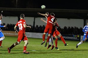 4:1-Sieg gegen Viktoria