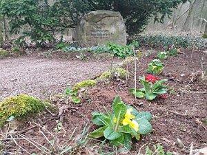 JU pflanzte Blumen