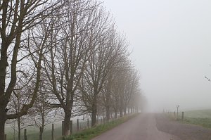 Fr&uuml;hjahrswanderung bei Auleben