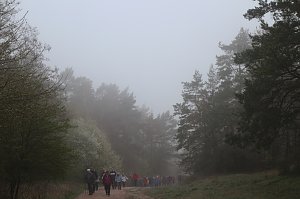 Fr&uuml;hjahrswanderung bei Auleben