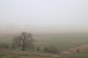 Fr&uuml;hjahrswanderung bei Auleben