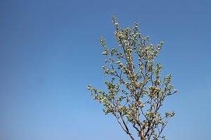 Fr&uuml;hjahrswanderung bei Auleben