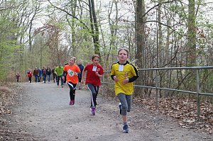 Fr&uuml;hjahrscrosslauf 2019
