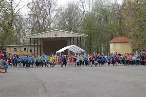 Fr&uuml;hjahrscrosslauf 2019