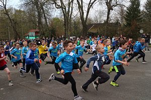 Fr&uuml;hjahrscrosslauf 2019