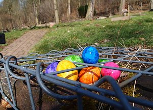 Ostereiersuche im Ilfelder Ahornpark