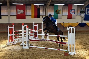 3. Hallenmeisterschaft Springreiten