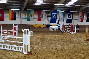 3. Hallenmeisterschaft Springreiten
