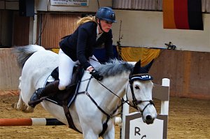 3. Hallenmeisterschaft Springreiten