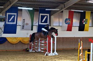 3. Hallenmeisterschaft Springreiten