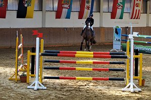 3. Hallenmeisterschaft Springreiten