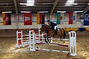 3. Hallenmeisterschaft Springreiten