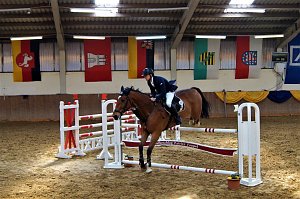 3. Hallenmeisterschaft Springreiten