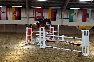 3. Hallenmeisterschaft Springreiten