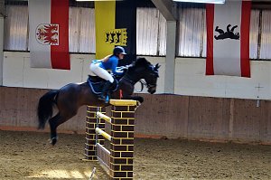 3. Hallenmeisterschaft Springreiten