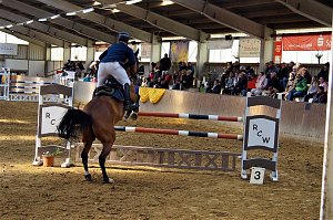 3. Hallenmeisterschaft Springreiten