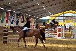3. Hallenmeisterschaft Springreiten