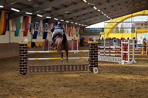 3. Hallenmeisterschaft Springreiten