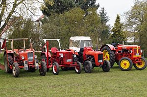 3. Hallenmeisterschaft Springreiten