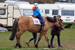 3. Hallenmeisterschaft Springreiten