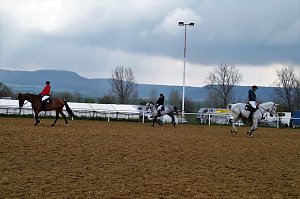 3. Hallenmeisterschaft Springreiten