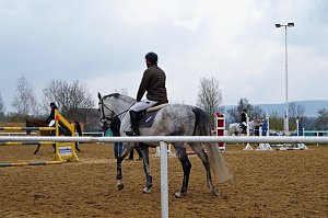 3. Hallenmeisterschaft Springreiten