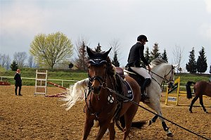 3. Hallenmeisterschaft Springreiten