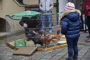1. Echter Nordh&auml;user Ostermarkt