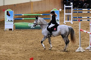 Hoffest in Wollersleben - der Sonntag