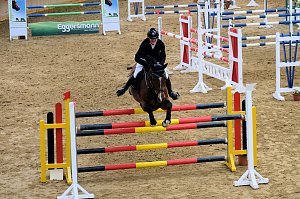 Hoffest in Wollersleben - der Sonntag