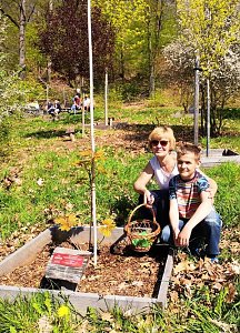 Ostereiersuche im Ilfelder Ahornpark