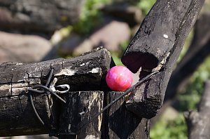Ostereiersuche auf der Ebersburg