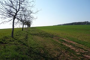 Von Salza in Richtung Herreden