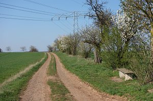 In Richtung Herreden