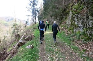 Einfach mal &uuml;ber den Harz
