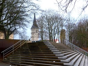 Ohne Laub