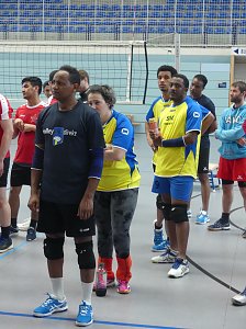 volleyball