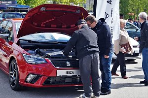 Autofr&uuml;hling 2019
