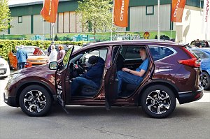 Autofr&uuml;hling 2019